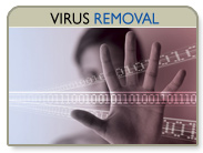 Virus Removal
